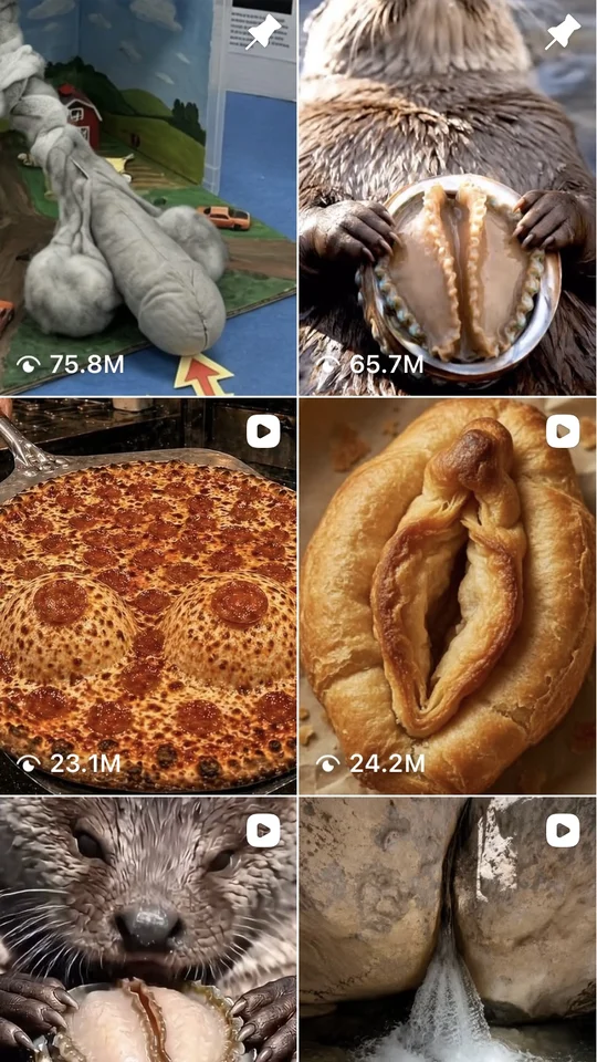 Our real profile grid — posts with 75.8M, 65.7M, and 76.9M views